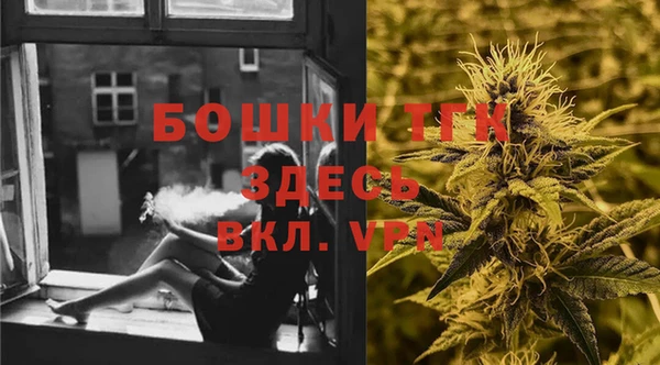 дурь Заводоуковск