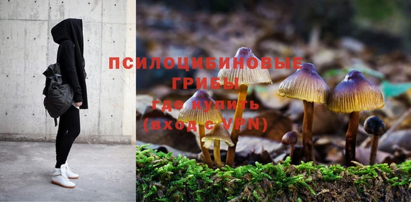 героин Абаза