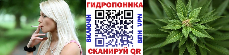 Шишки марихуана OG Kush  ОМГ ОМГ рабочий сайт  Чадан  сколько стоит 